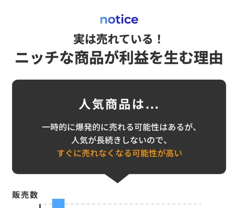 「実は売れている!ニッチな商品が利益を生む理由」としつつ「人気商品はすぐに売れなくなる可能性が高い」と説明するACCESSの広告ページ