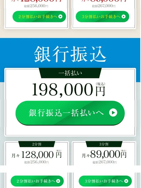 クレジット決済の一括払い198,000円(税込)、2分割は月々128,000円、3分割は月々89,000円と表示されたARMADAの申込ページ