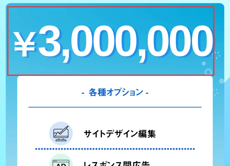 ¥3,000,000と大きく表示され、サイトデザイン編集、レスポンス間広告、セミオート投稿、RSS機能という各種オプションが並ぶ申し込みページ
