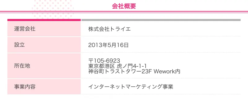 会社概要のページに、運営会社は株式会社トライエ、設立は2013年5月16日、所在地は東京都港区虎ノ門のビルの23階、事業内容はインターネットマーケティングと記載されている画面