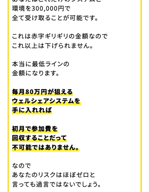 「あなたはこれだけのシステムと環境を300,000円で全て受け取ることが可能です」と提示するウェルシェアの申込ページ