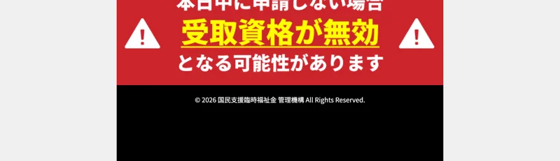 広告のページ下部に「国民支援臨時福祉金 管理機構」という表記だけがあり、運営会社名や連絡先が一切ない
