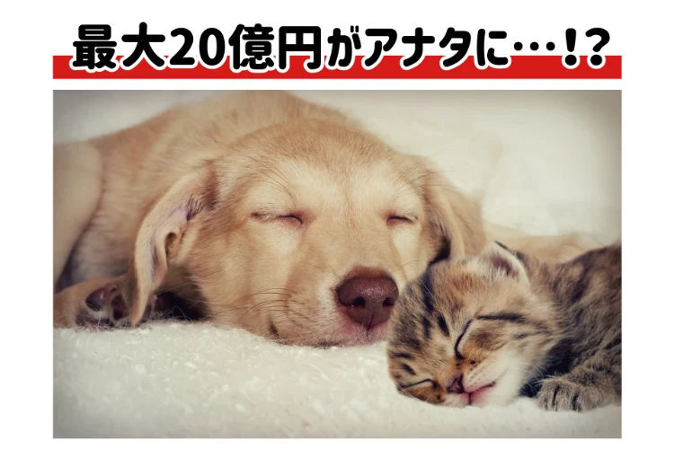 「最大20億円がアナタに…!?」と大きくうたう広告の最初の画面